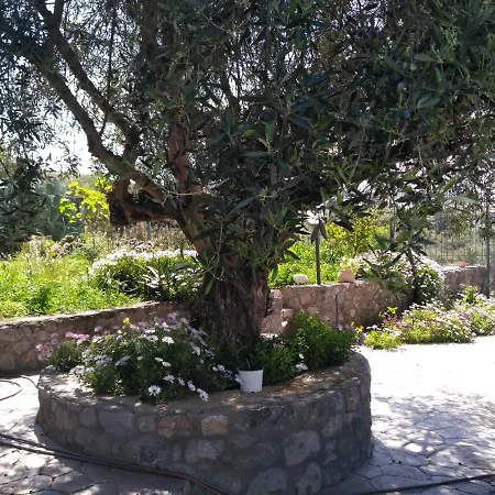 Afrodite's House Villa *