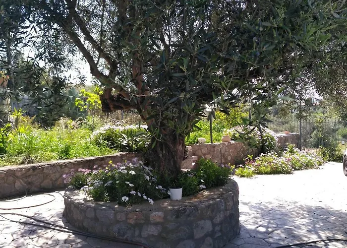 Afrodite's House Villa *